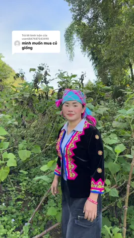 Trả lời @user6867487543490 mua giống sâm đất #vuthichu #samdat 