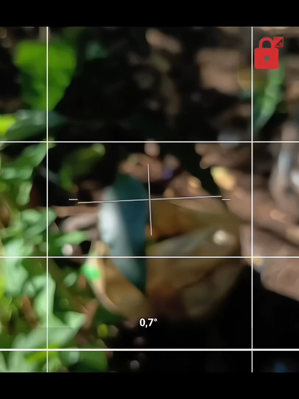 power of Open Camera 🍃🌿🌱 📷 RedmiNote 14 5G #nature #natureaesthetic #aestheticvideo #aesthetic #videography 