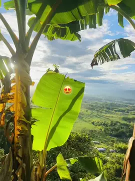 #Cumbia 😍🤍 @Yuliana🦋 