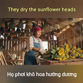 bữa nay đi rang hướng dương 🌻🌻