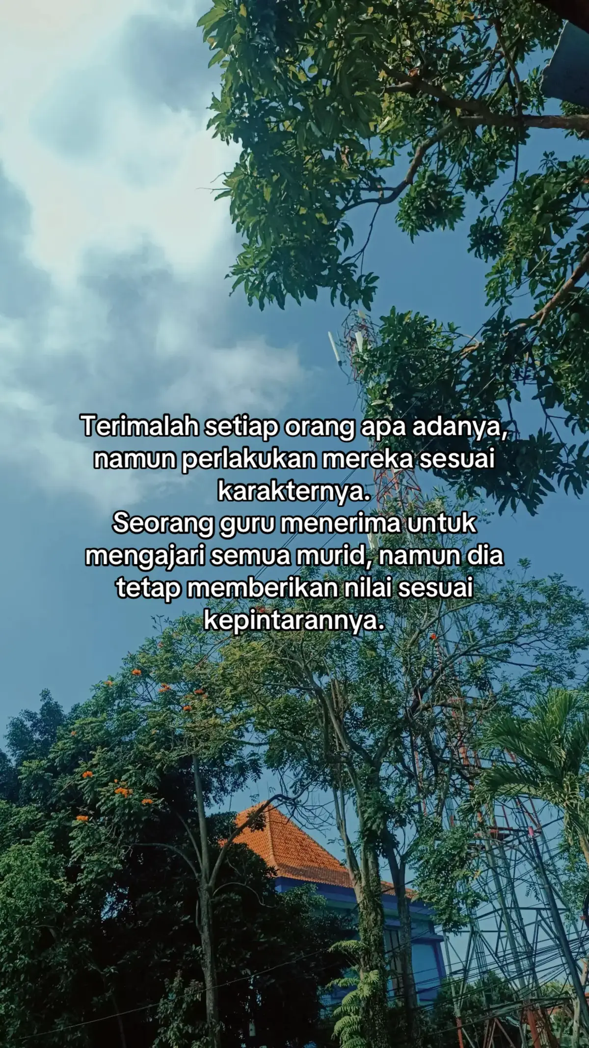 #fypage #viraltiktok #yxzcba #fypシ゚ #fyppppppppppppppppppppppp 