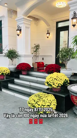 Lại sắp Tết rồi mn ơi… #nhacxuan #tet2026🧧🧨🎆 vẫn chia sẻ tk cho ae cần 