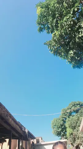 Xori.....kO Dance.😍💐@Dipsikha 😘🥰 