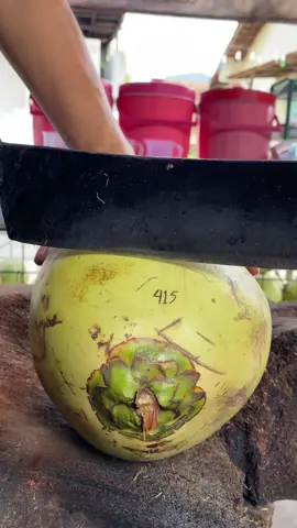 415#fypシ゚ #fypシ゚viral #kelapamuda #kalapahejo #kelapaijo 