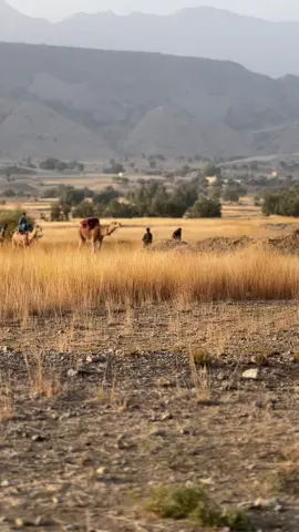 #viralvideo #tiktokteamunfreezmyacount😥🙏 #growmyaccount #views 