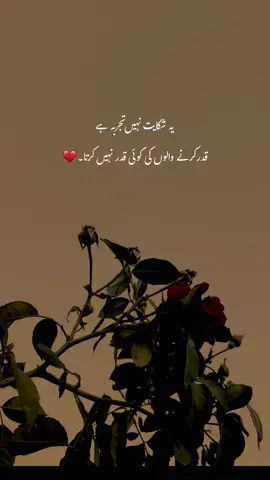 😭💔#viralvideo #ateeq_official112 #aestheticvideos #growmyaccount #fyppopppooooooppppppp 