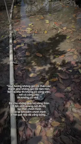 Có những đứa trẻ dành cả thanh xuân để buông ba nơi đất khách, để chờ ngày thành công để đi về quê nhà 🥺😖.#nuocngap#viral #quehuong#điđểtrởvề🥰 