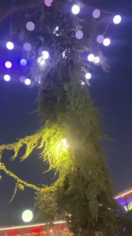 @𝐳𝐤.🐺𝑍𝑖𝑑𝑑𝑖🚩 @☠️its ibrahim khan ☠️ @Asad khan @Waqaskhan @ر O م A ن کینگ 