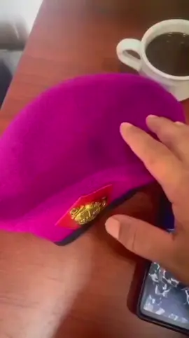 Korps Marinir Indonesia lahir pada 15 November 1945 di Tegal sebagai Corps Mariniers, dan pada 9 Oktober 1948 berubah menjadi Korps Komando Angkatan Laut (KKO AL). Setelah mengalami berbagai penugasan penting, pada 14 November 1975, nama Korps Marinir kembali dikembalikan sesuai dengan hari kelahirannya. Korps ini bertugas sebagai pasukan pendarat yang mampu menjalankan operasi dari laut ke darat dengan pelatihan lintas matra. #marinir #komando #tnial