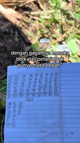 Serem👻 #fypp #petanijagung #jagungbalap🌽 #petanimuda #petanilampung 