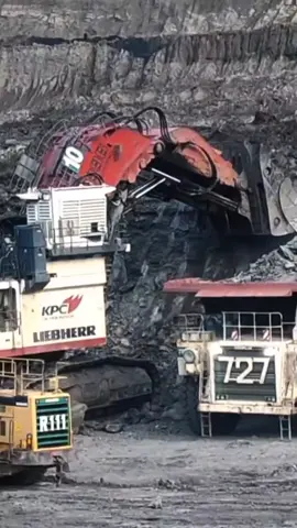 #tambanghitz #tambangbatubarakalimantan #kulitambang #KaltimPrimaCoal 