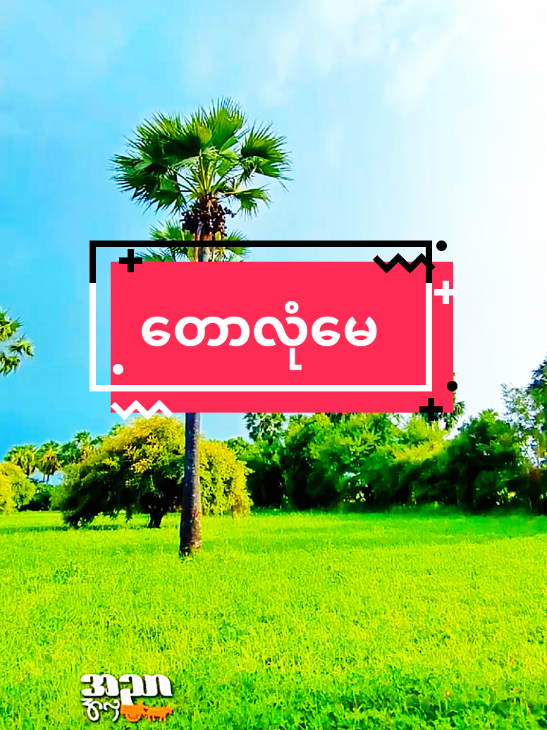 #တောလုံမေ #တွံတေးသိန်းတန် #မြန်မာသံစဥ်တေးများ #naingoo .008#fypシ゚ 