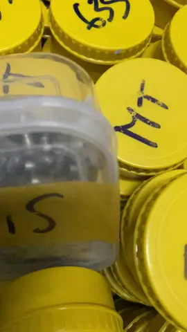 Từ 4 chấm đến 6 chấm