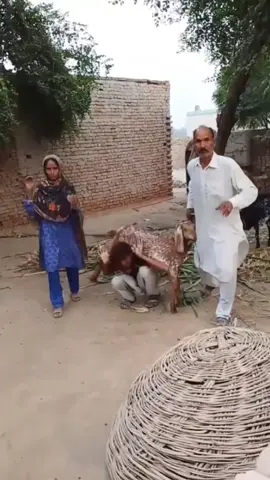 India agak laen😅😅 #fyppppppppppppppppppppppp #aajuju #india #viraltiktok #hiburan 