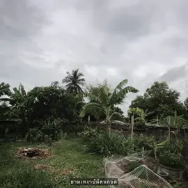 😢#เธรดเพลง #รับโปรโมทเพลง #ยืมลงสตอรี่ได้ #เปิดการมองเห็น #เธรดความรู้สึก 