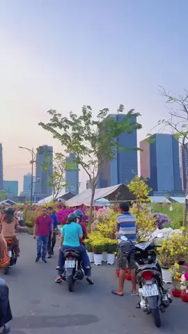 #viral #xuhuong #trending #tet2026 #tet 