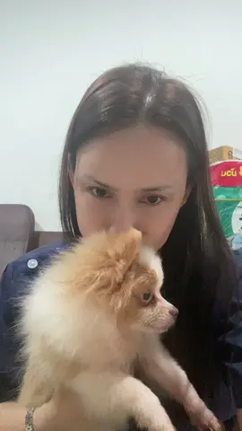 ได้เวลาต้องพาอาบน้ำแล้ว#หมาน่ารัก #หมาน้อย #หมาแสนรู้ #สัตว์เลี้ยงน่ารัก #ทาสหมา 