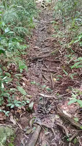 ₫oạn ₫ường còn dài ta nên bước tiếp... 