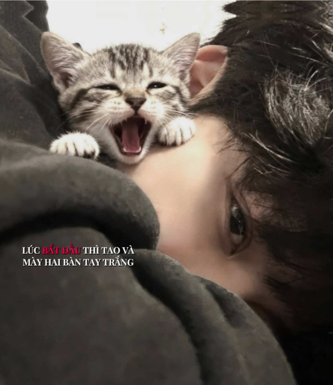 Mẫu sống dai của Bray cho ai cần nè #empty #xh #nhachaymoingay #lyricsvideo #bray 