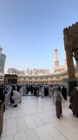 صباح الخير #مالي_خلق_احط_هاشتاقات🧢🙂😂 #مالي_خلق_احط_هاشتاقات🧢🙂😂 #مالي_خلق_احط_هاشتاقات🧢🙂😂 