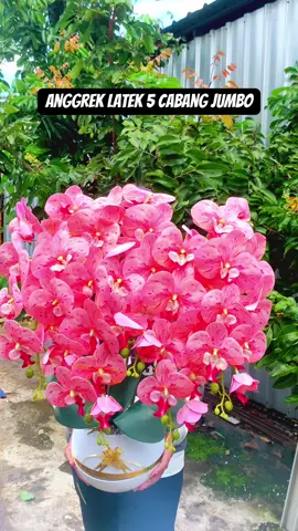 Siap di letakkan di sudut ruangan,langsung bikin ruangan terasa lebih cantik dan nyaman di pandang #bungaanggrek #bungaviral #dekorasirumah #bungaartificial #fyp 