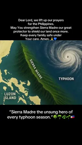 Habang may Sierra Madre, may pag-asa pa. 🌳 Salamat sa ating bundok na tahimik pero laging nagtatanggol sa atin tuwing may bagyo. 🙏🇵🇭 #CCTOPublicPH #SierraMadre #TagapagtanggolNgPilipinas #PrayForThePhilippines #foryou