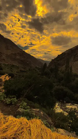 تعلیم جن کو سمجھ آتی ہے وہ سادگی اختیار کر لیتے ہیں__🫀  اور جن کے اوپر سے گزر جائے وہ ماڈرن بن جاتے ہیں__💯