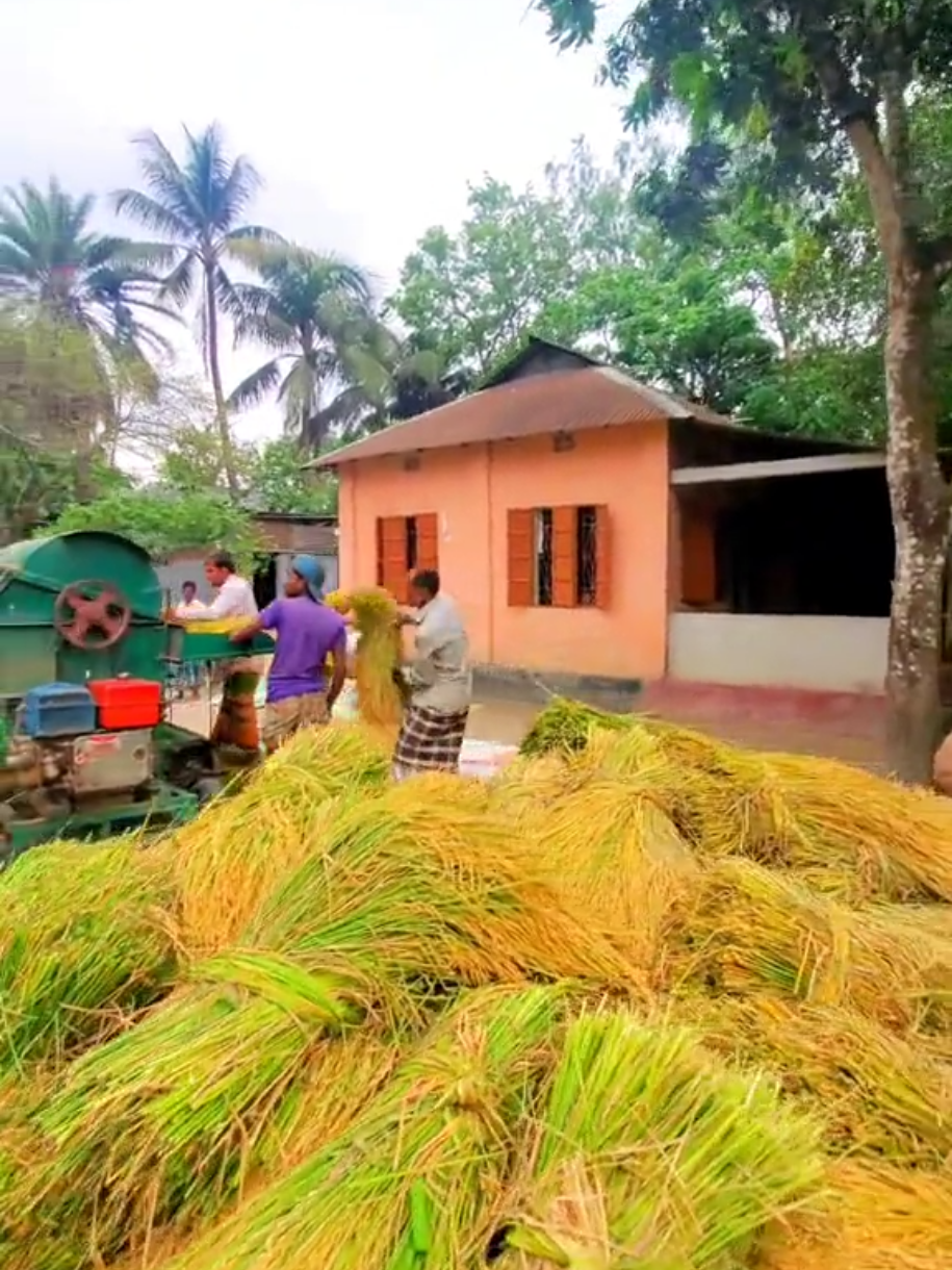 আমি পছন্দ করি গ্রাম #unfrezzmyaccount #foryoupage #viralvideo 