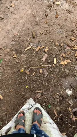 Mưa bẩn xe 😵‍💫😵‍💫#xuhuong #yenchau #wave125i_ไฟเลี้ยวบังลม @24h Miss thuytien❕😍 #mt 