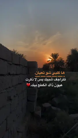 #عباراتكم💔💔؟ #تصويري_احترافي_الاجواء👌🏻🕊😴 #تصويري📸اكسبلوور #محمد_نزار #متابعه_ولايك_واكسبلور_احبكم 