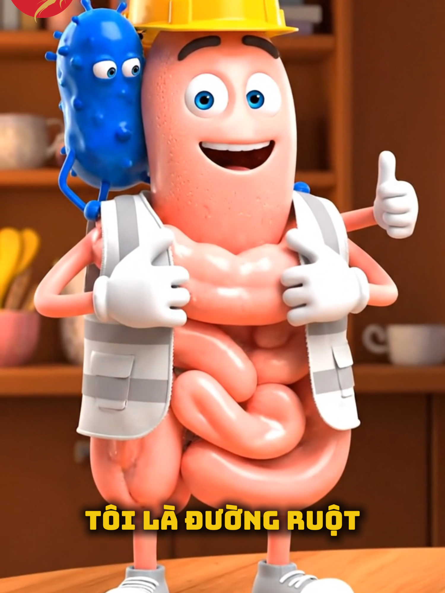 Tôi là đường ruột của bạn, bạn hãy xem tôi đang trãi qua những gì nhé  #dongy #duoclieu #suckhoe #nhansam #cndginseng #CNDGINSENG #SAMBACMYCND #nhansamvataodohoatan #LearnOnTikTok