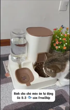 Ăn đúng giờ, uống đủ nước – tự động hết nha! ⏰🐾 Bình thông minh cho boss khỏe mạnh mỗi ngày #binhanuongtudongchomeo #thucung #viral 