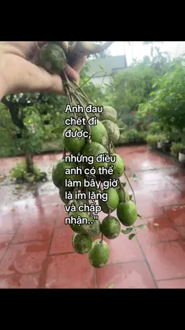 Anh đâu chết đi được..