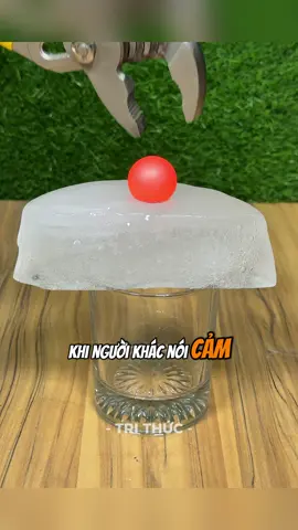 Khi người khác nói cảm ơn thì nên đáp sao #phattrienbanthan #trithuc 