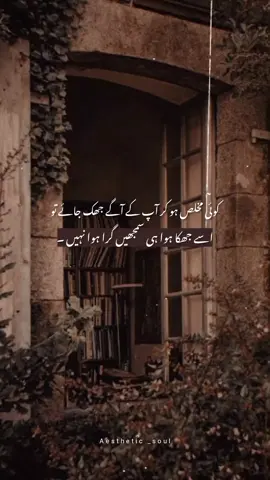 bilkul 🙌🌚🥀#foryou #aestheticpoetry #creatersearchinsights #tiktokteamdontunderreviewmyvide #1millionaudition 