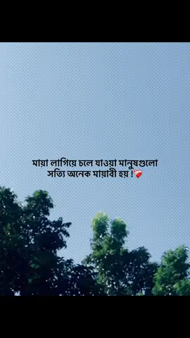মায়া লাগিয়ে চলে যাওয়া মানুষগুলো  সত্যি অনেক মায়াবী হয় !❤️‍🩹#foryou #trending #banglacaption #popularvedio #captionvedio 