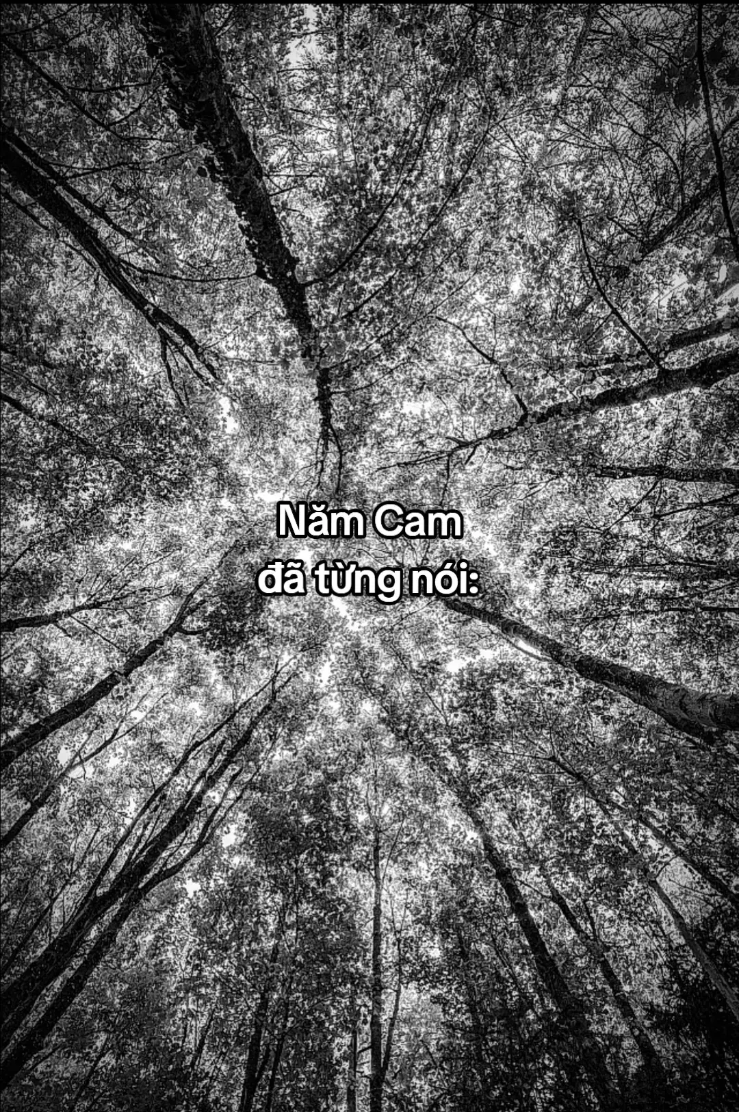 Cái gì không mua được bằng tiền, thì sẽ mua được bằng rất nhiều tiền!? Kể cả là tình yêu...! #caption #capbuon #caphay #namcam #tienbac 