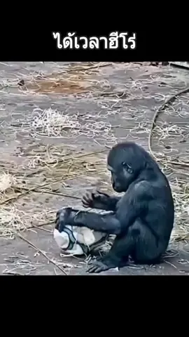 ใครทำฉัน🔥🔥🔥 #คลิปตลก #คลิปตลกฮาๆ #ตลก  #fyp 