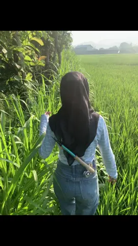 Lapor ketua, saya mancing dulu🫡 #mancingjogja #mancingmania #harcingnas #waderhunter #mancing 