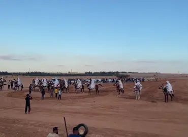 #فرسان_ليبيا #فرسان_الخيل #طرابلس_بنغازي_المرج_البيضاء_درنه_طبرق #عقدبني_وليد_المركز #ورفله_طرابلس_بنغازي_مصراته_ليبيا 