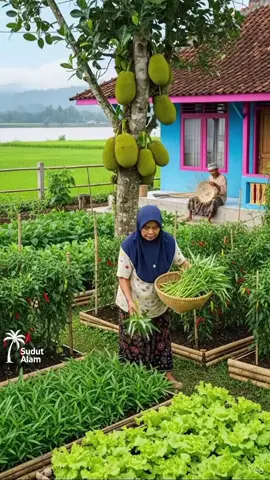 Panen hari ini...Sayur kangkung,selada,cabe merah dan nangka,langsung dipetik dari kebun sendiri Berkah dari halaman rumah yang subur🍃 #kebundepanrumah #suasanadesa #masatuadidesa #reelsfyp 