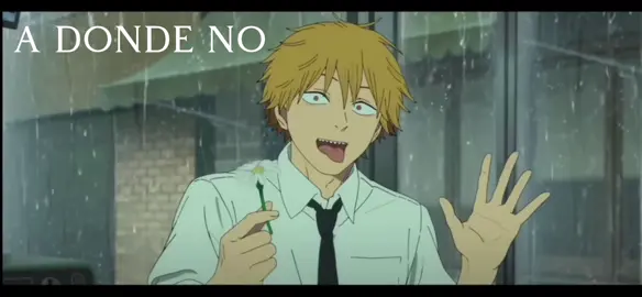 amomuchoamiamiguitook #podercerdito❤️ #chainsawman #fyp #parati #dedicar 