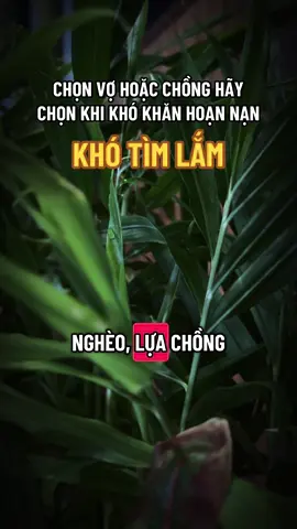 Hãy nhớ nhé #ngộ_để_an #phatphapnhiemmau #trending #cliptrieuview #xuhuongtiktok 