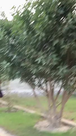 #viral_video🤗💕 @TikTok @tiktokstudios 