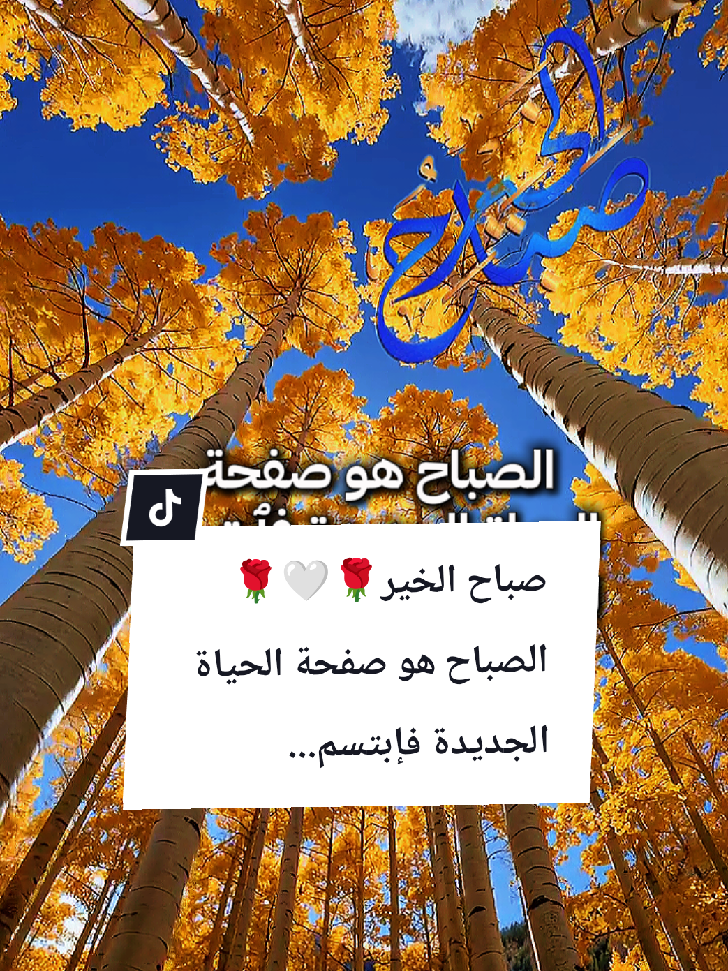 #souzan396 #صباح_الخير  صباح الخير🤍🌹☕ الصباح هو صفحة الحياة الجديدة فآبتسم...