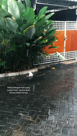 #xyzbca #fyp #story #storytime 