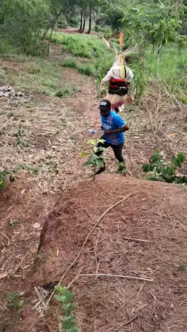 11/11 Umuchiana Day will be observed on Tuesday, November 11th.  It is an event you should not miss, as it promises to be exceptionally exciting.  #achukwuekwulobia 