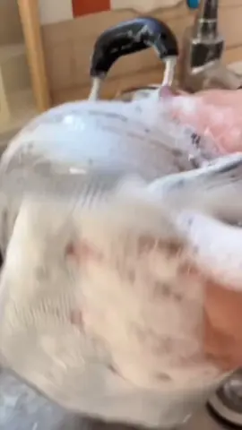 Panos de limpeza aço premium🩶 #achadinhos #shopee #afiliado #fyp ID: CJS-KBS-GSJ