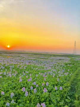 আর হবে না দেখা 😊❤️‍🩹#rs_raju#foryou #foryoupage #fyp #viral 