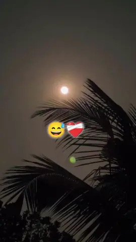 অথচতুমিই বলেছিলে সবাই ছেড়ে গলেও তুমি কখনও ছেড় যাবেনা..😅#fypシ゚ #fyppppppppppppppppppppppp @TikTok 